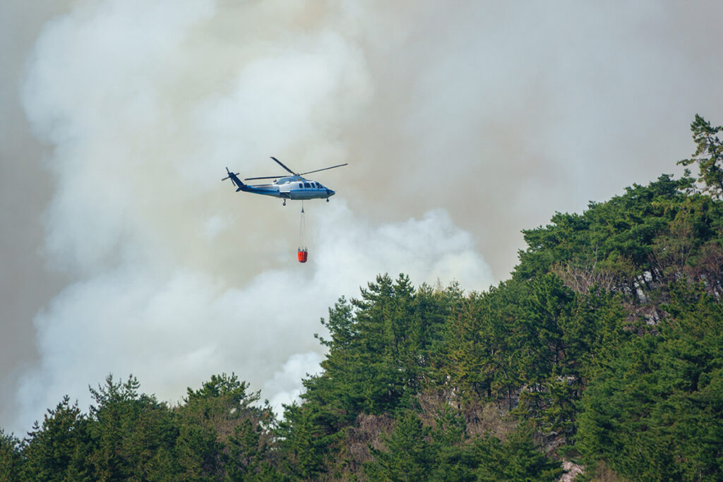 산불 현장에서 소방당국이 진화 작업을 하는 모습